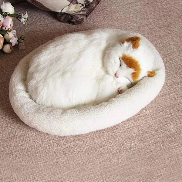 Chat peluche pour adulte chat blanc orange