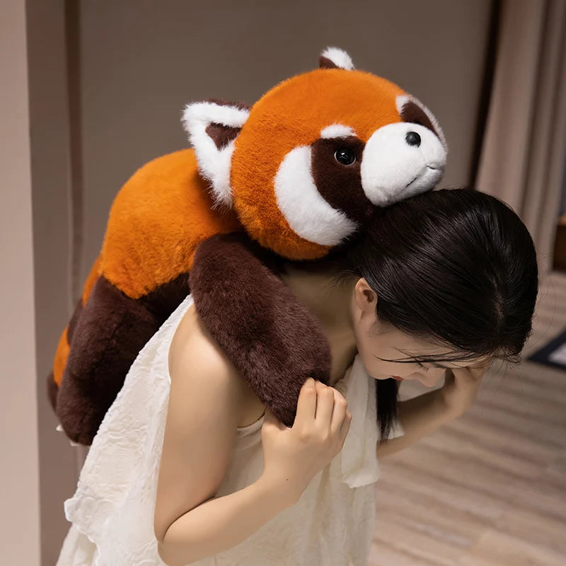 Peluche adultes