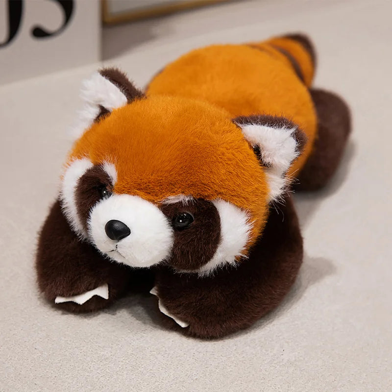 Peluche adultes
